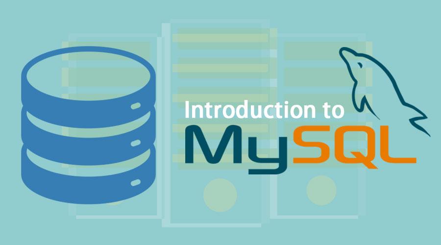 Wordpress & MySQL